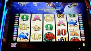 Lucky Count Slot Machine Bonus Win (queenslots)