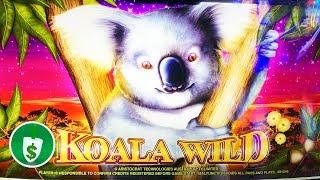 Koala Wild slot machine, bonus