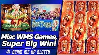 Live Play, Free Spins and a Super Big Win in Misc WMS slots