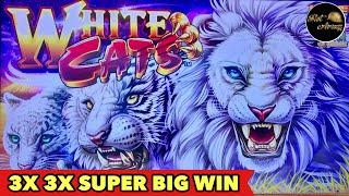 •️KONAMI WHITE CATS SUPER BIG WIN•️Explore to Grand Portage Casino | 39 Mins Away From CANADA Border