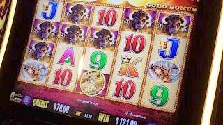 BUFFALO GOLD Slot Machine - Very Good Bonus Win - Hide & Seek @ Planet Hollywood