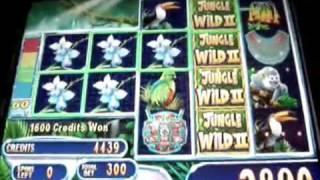 Jungle Wild 2 Moneyburst bonus round