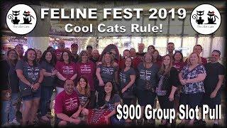 $900 Group Slot Pull • Feline Fest 2019 Recap •