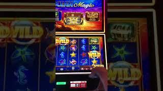 Four Winds #shorts