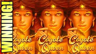 AN OLDIE, BUT STILL A GOODIE!! COYOTE QUEEN (THE PROWL) Slot Machine (Aristocrat Gaming)