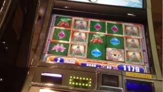 Jungle Wild 3 III Slot Bonus WMS