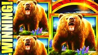 WINNING!! ROARING BEARS RAWR!! ⋆ Slots ⋆ KODIAK ISLAND Slot Machine (WMS)