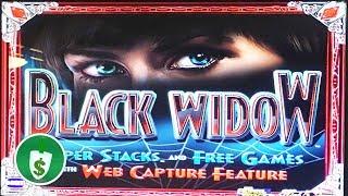 Black Widow slot machine, bonus