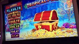 NEW Tropical Fish Slot Bonuses ( 2 videos)