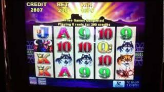 Buffalo Slot Free Spin Bonus Game ($2 Bet)