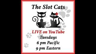 The Slot Cats : Live from San Manuel Casino