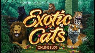 Exotic Cats Online Slot Promo
