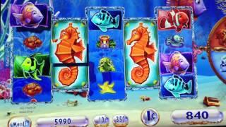 Goldfish 3 Seahorse Feature
