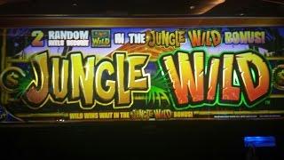 JUNGLE WILD -  NICE BONUS WIN - Free Games