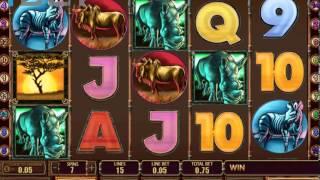 Scr888, Sky888 "Safari Heat" Newtown Casino Slot machine by iBET S888