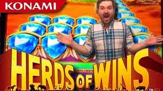 BIG WIN! "Herds Of Turds" Bonuses and LIVE PLAY on Herds of Wins Slot Machine