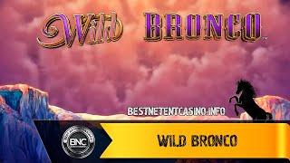 Wild Bronco slot by Reel Time Gaming