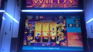 Erupting Wilds - Bonus - Big Win! - $2.50 Bet. Apologies for the video cutting out