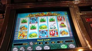 Gold Fish Slot-Two Fish Can Bonuses
