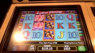 Lotus Flower slot machine bonus win at Harrah's Casino