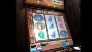 Moaning Steve..Bring his Herd to keep him company..as he Plays Wild Safari Fruit Machine