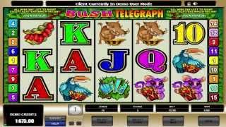 FREE Bush Telegraph  ™ Slot Machine Game Preview By Slotozilla.com