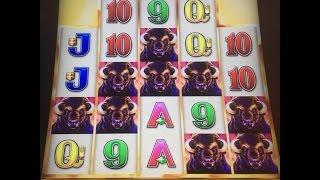 BUFFALO GRAND Slot Machine - Nice Bonus Win 230x bet - Fun @ Bally´s Las Vegas