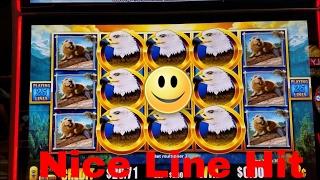 Birds of Pay Slot Machine Nice Line Hit  8 Wilds Added!!!!