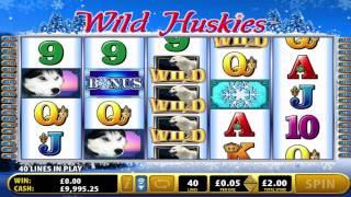 Wild Huskies• slot by Bally video game preview