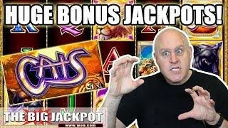 •HUGE Jackpots! •Cats Slot Machine Wins! | The Big Jackpot