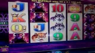 Buffalo Slot Machine Bonus - Free Spins Win (#1)