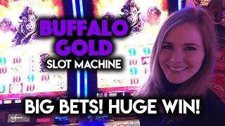 Buffalo Gold Slot Machine! BIG Bets! HUGE WIN!!!