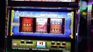 IGT Wild Bluebells Sot machine Live play free play