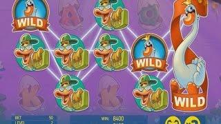 Scruffy Duck Slot - Double Feature!