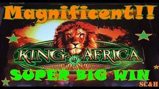 ~TBT~ *BIG WIN* WMS King of Africa | Slot Machine Line Hit(50c)