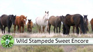 Wild Stampede slot machine, Encore of a Sweet Spin