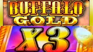 BUFFALO GOLD Big Line Hit! 1-16-2022