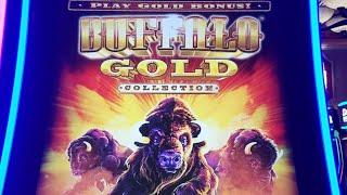 Buffalo Gold Challenge