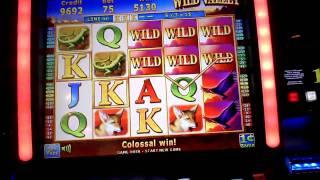 Wild Valley Line Win at Mount Airy Casino