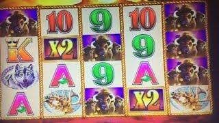 Big Win•Live Play Buffalo Gold Slot Machine Bet $3 Bonus Win & Line Hit Harrah's Casino