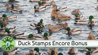 Duck Stamps slot machine, Encore Bonus