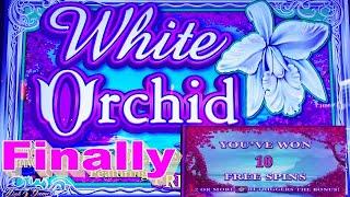 ⋆ Slots ⋆GOT MY FIRST BONUS AND VERY EXPECTED !!⋆ Slots ⋆WHITE ORCHID Slot (IGT) $4.00 Max Bet⋆ Slots ⋆$175 Free Play⋆ Slots ⋆栗スロ