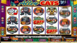 All Slots Casino Alley Cats Video Slots
