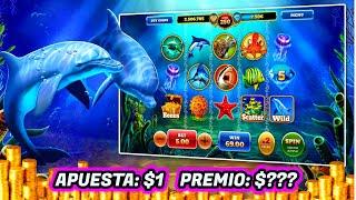 Dolphin Treasure CLÁSICO ⋆ Slots ⋆ ¿Cuánto Dinero Puedes Ganar? Apuesta: 1$ - EXCELENTE PREMIO