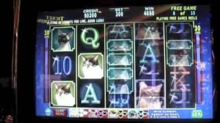 Kitty Glitter Slot Machine Bonus-Max Bet