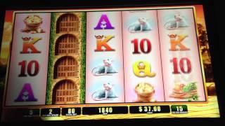 The Booted Cat-WMS Slot Machine Bonus