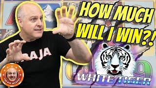 •NEVER BEFORE SEEN! •How Much Will I Win on White Tiger Slots?! •