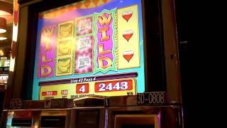 Whipping Wild Penny Slot Machine Bonus Win