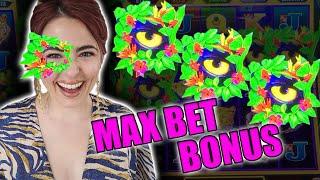 The BEST JUNGLE CATS Game in Las Vegas! Max BET BONUS!