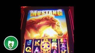 •️ NEW -  Mustang slot machine, bonus